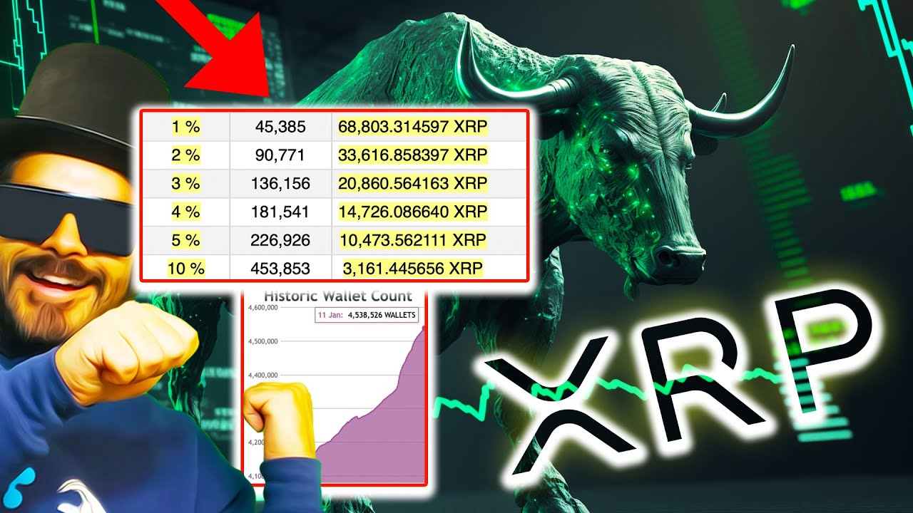 RIPPLE/XRP 3,161 TOP 10% HOLDER!! XRP WALLET SPIKES!! XRP RISE OF THE NEXT AMAZON OF CRYPTO!!