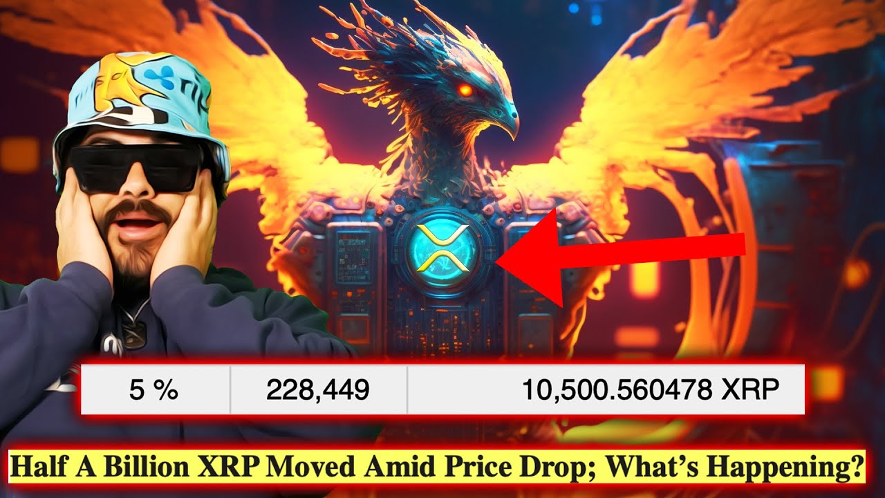 RIPPLE/XRP TOP 5% HOLDER 10,500 XRP!? YOU OWN A PIECE OF THE FUTURE!!