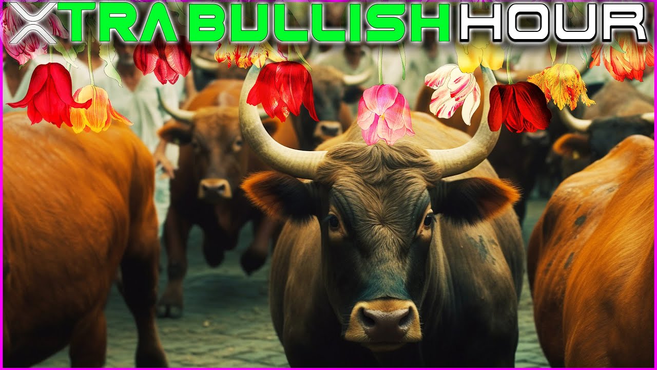 XRP XTRA BULLISH HOUR | EP 10